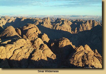 The Wilderness of Sinai