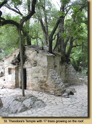 St. Theodora’s Temple with 17 trees growing on the roof.